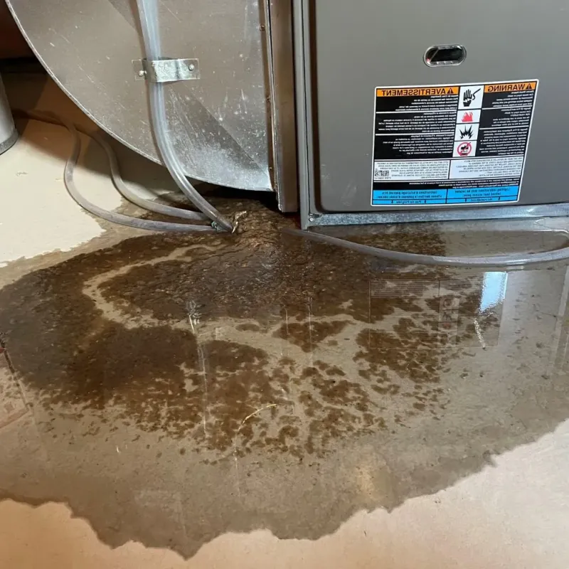 Pipe Burst and Leak Restoration in Challenge-Brownsville, CA