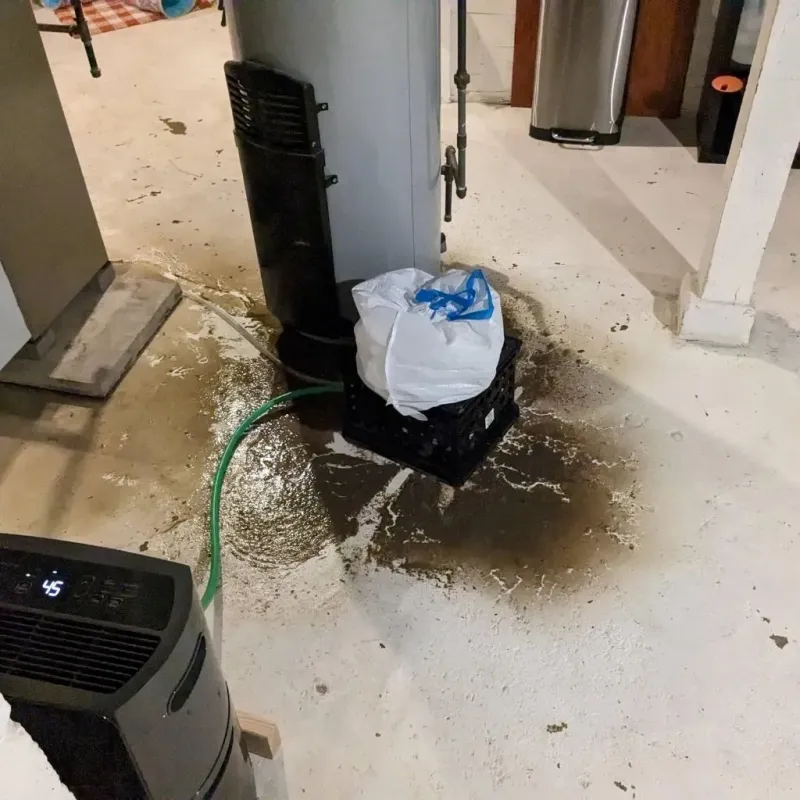 Sewage Backup Cleanup Service in Challenge-Brownsville, CA